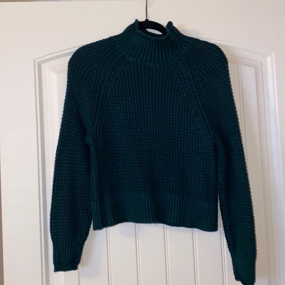 AE Turtleneck Sweater